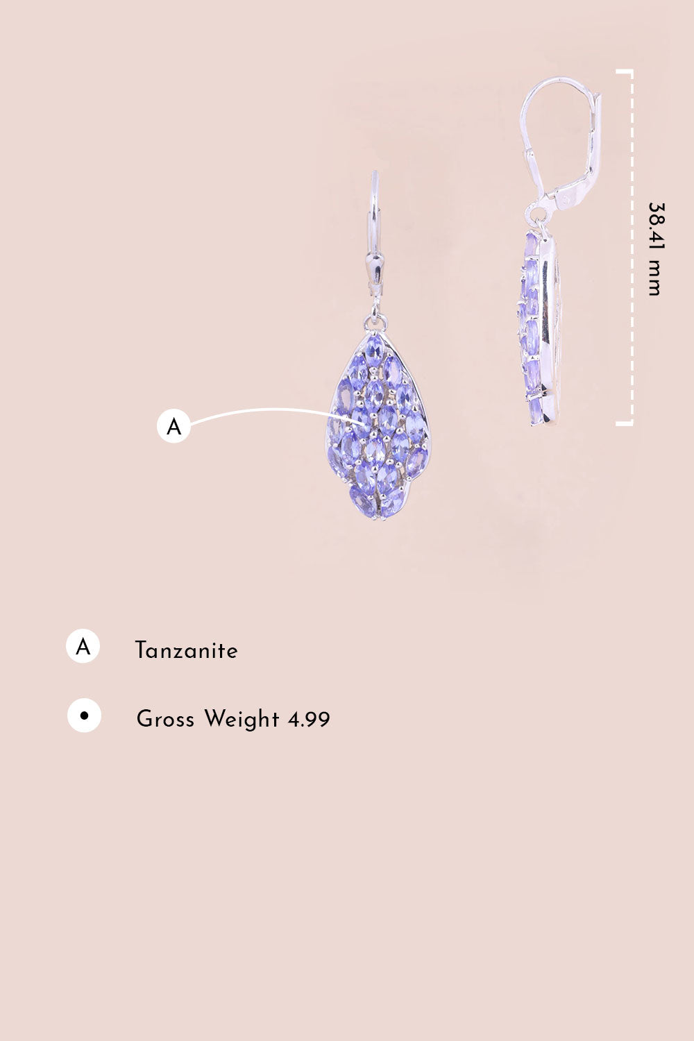 Tanzanite Sterling Silver Drop Earring 10067036